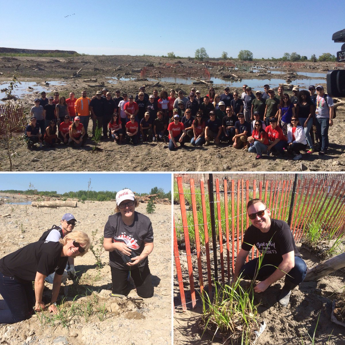 CocaColaCo_ca's tweet photo. #TBT:@CocaColaCo_ca working with @TRCA_Restore to restore wetlands in Tommy Thompson Park #WED2016 https://t.co/80KUwQKKll