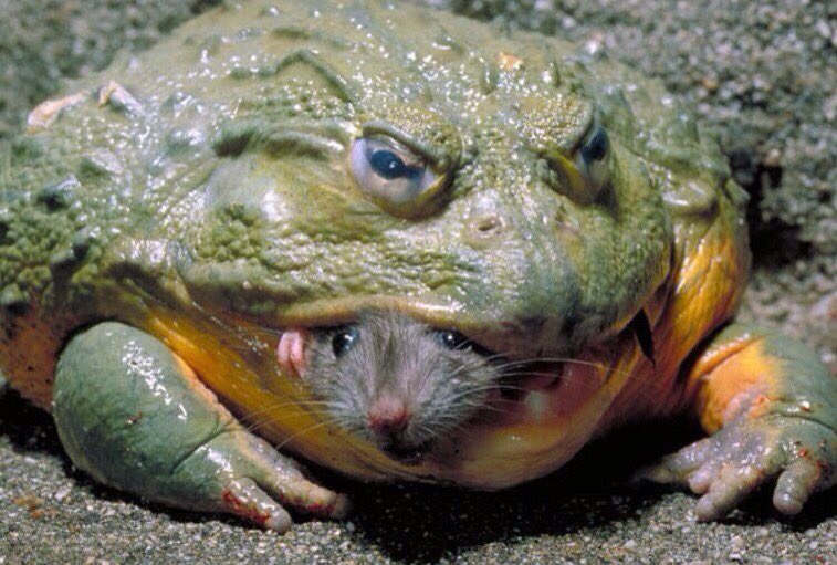 InTMA02's tweet image. Я и моя сестра :