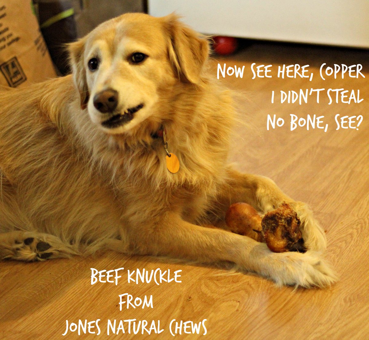 Joneschews's tweet photo. Your dog shouldn't have to steal bones ;) #cutedog #meme #bonethief #beefknuckle #beefbone #dog #dogbone #besttreats https://t.co/SEqmr2Ov6Z
