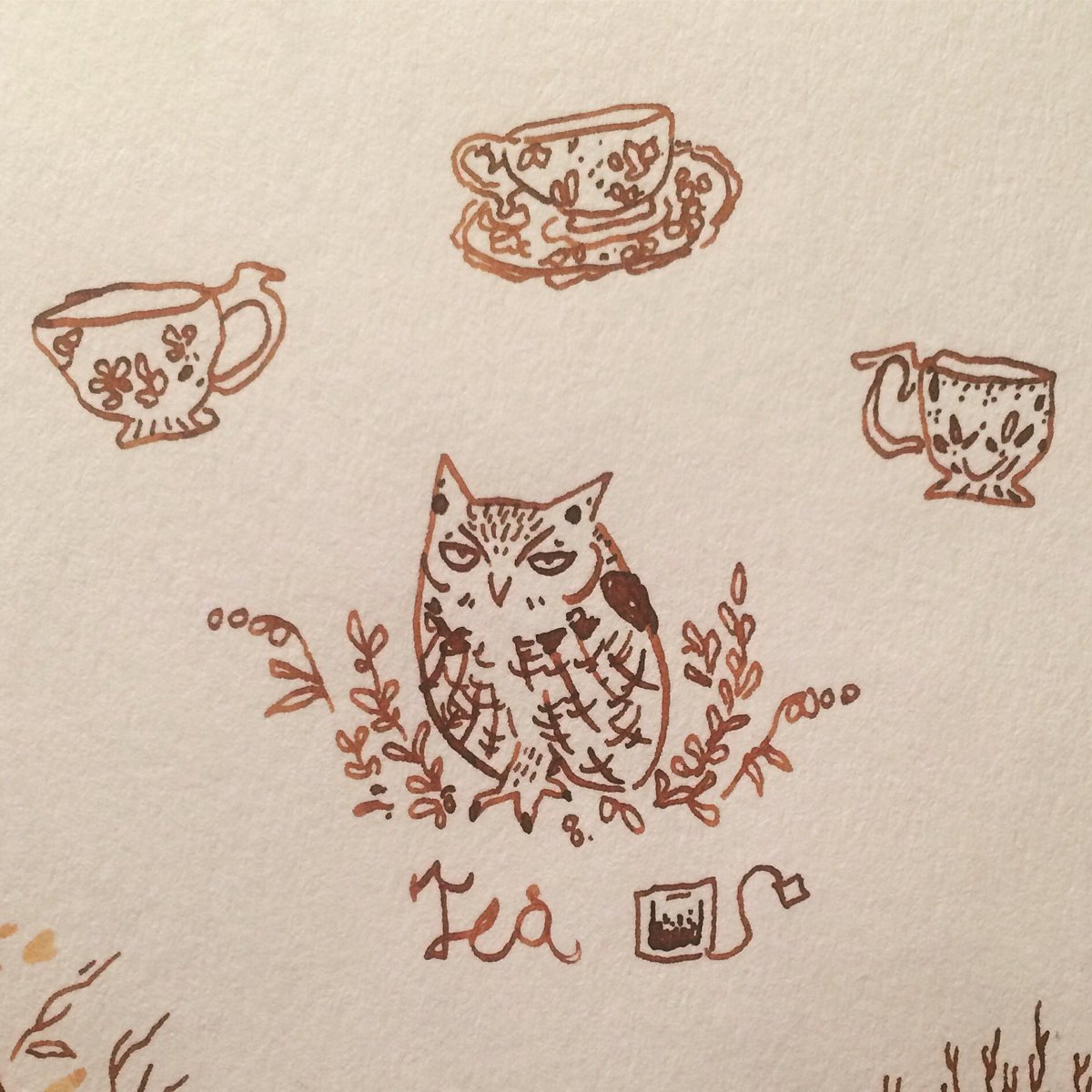 AthenaGubbe's tweet photo. Tea time. #tea #hooter #owl https://t.co/iWEMUtIE67