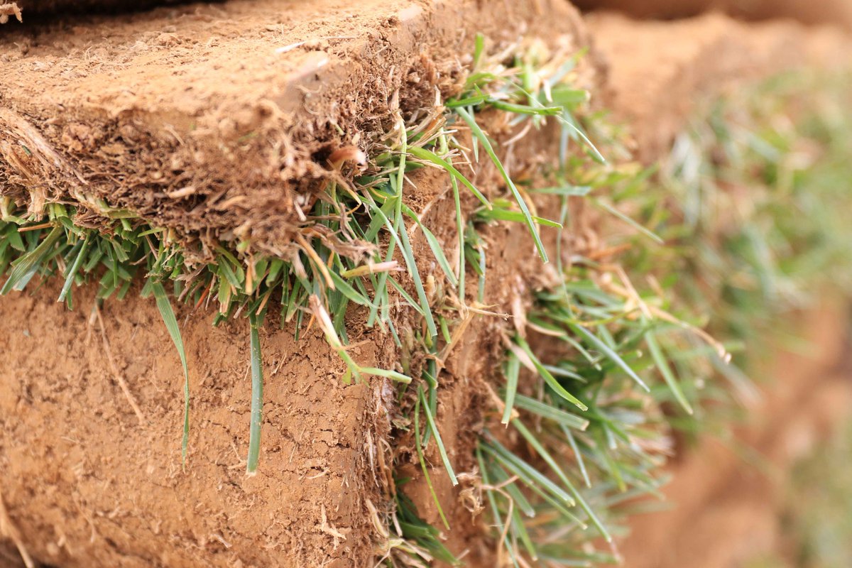 TrebroMfg's tweet photo. Central Sod Farms of Maryland, Inc https://t.co/FqZcdyjbkJ