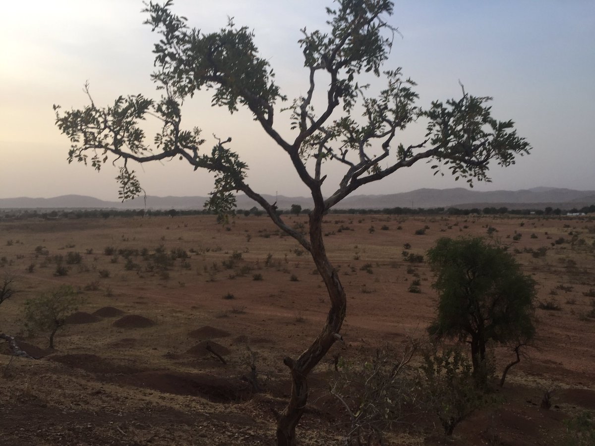NathalieMagnien's tweet photo. #GozBeida #Chad https://t.co/sBVDKaP4RX