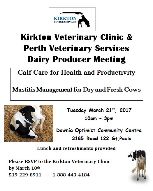 Kirkton Vet Clinic Kirktonvet Twitter