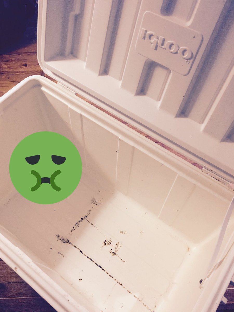 amaallison's tweet photo. Mold is not invited to our picnic...bleached it away, happy day!! #thriveatclorox https://t.co/AxxCLeU6HK