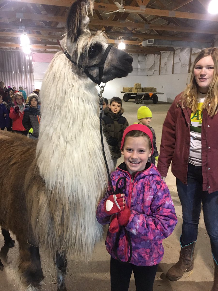 MsShaffner's tweet photo. We had such a great time at AG day today! Special thanks to all my great volunteers 🐖 https://t.co/o1eueKFgBw