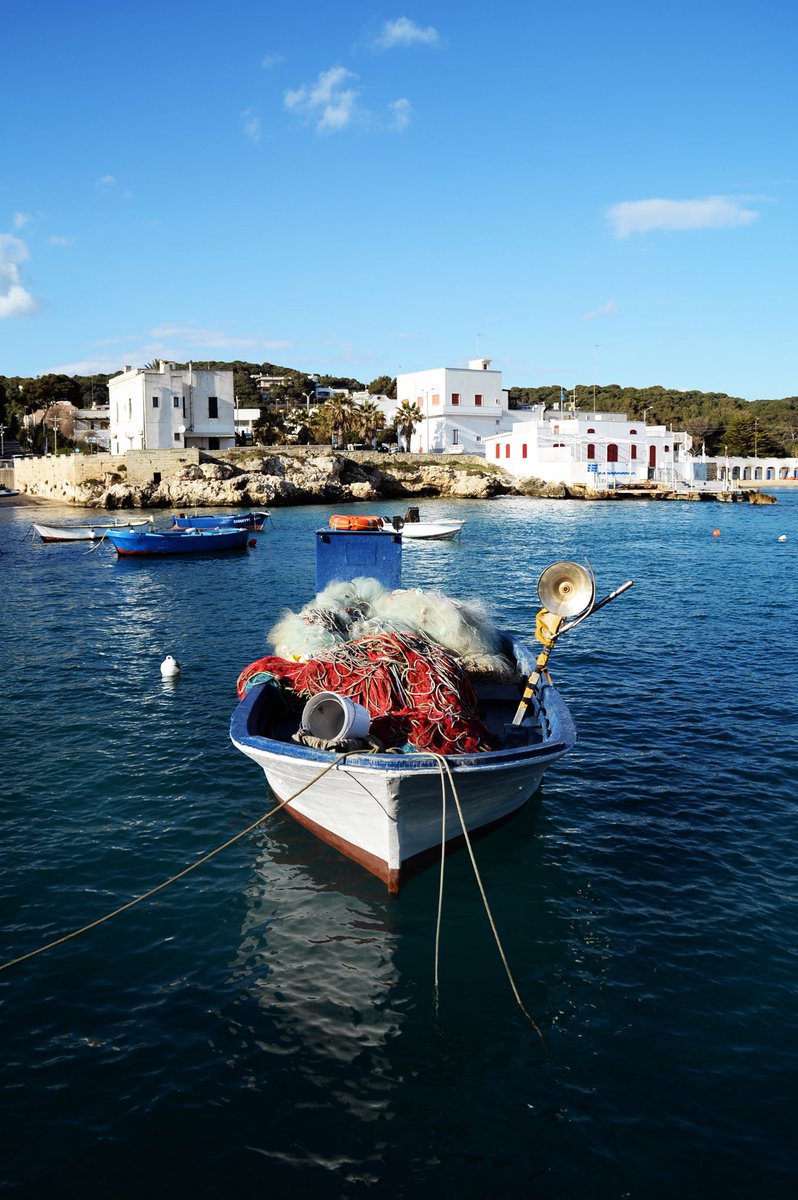 VdMediterraneo's tweet photo. #Salento
#italy #apuglien #puglia #pescaturismo #viedelmediterraneo @VdMediterraneo #tesbulding #excurtions #escursioni #mare #servizi #tour https://t.co/DOpxElp3j9