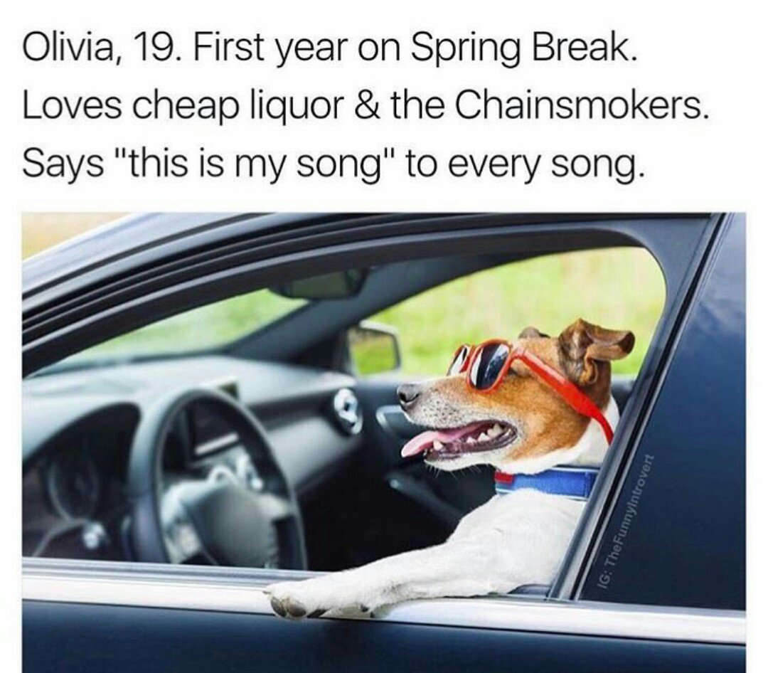 ShmackedUofA's tweet photo. Tag someone who is Olivia 😂🌴🍻💨 https://t.co/YJ8afFmcK0