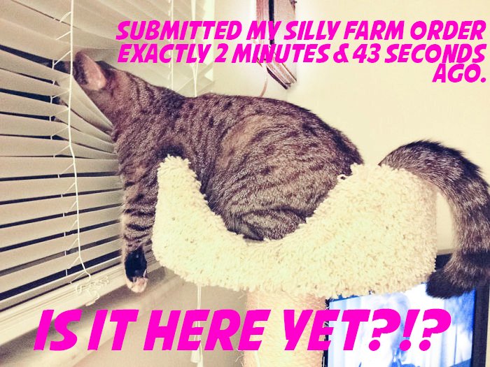 LenoreIsCheeky's tweet image. This is literally me right now. What can I say? I get excited. 😊🐿️❤️