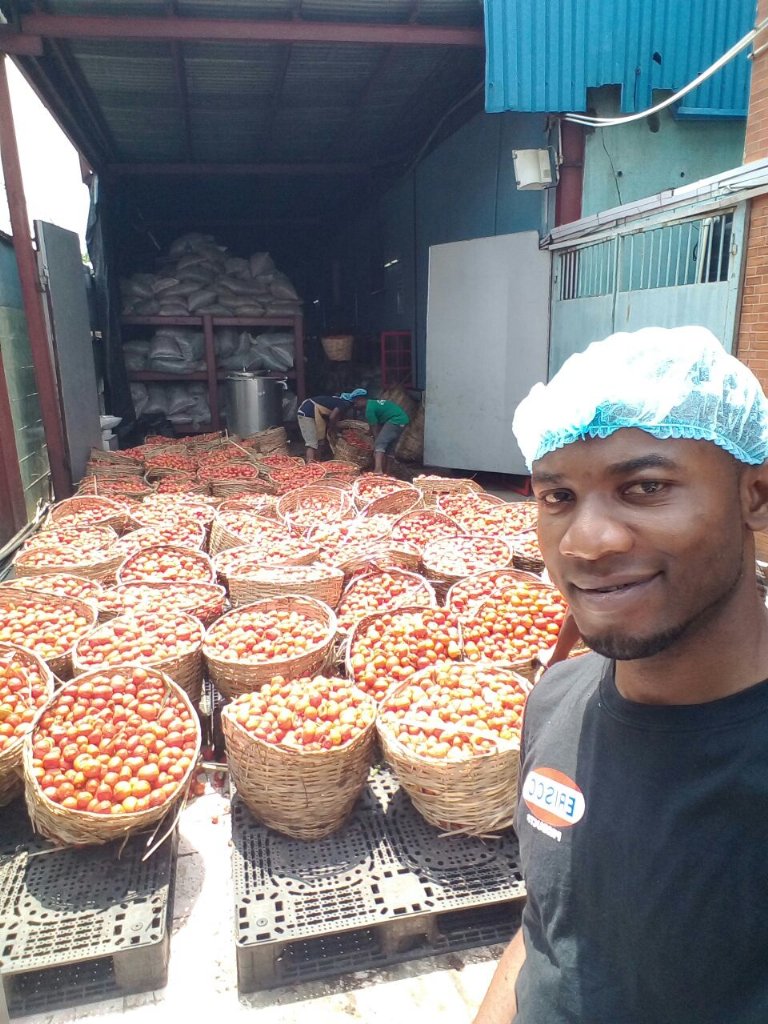 Fresh tomatoes ready for processing into tomato paste at Erisco foods factory in Lagos. #100%natural #MadeinNigeria