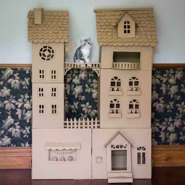 BuzzFeed's tweet image. This woman spent so much time building her kitty a palace and he only played in it for 10 minutes bzfd.it/2mzIAu7