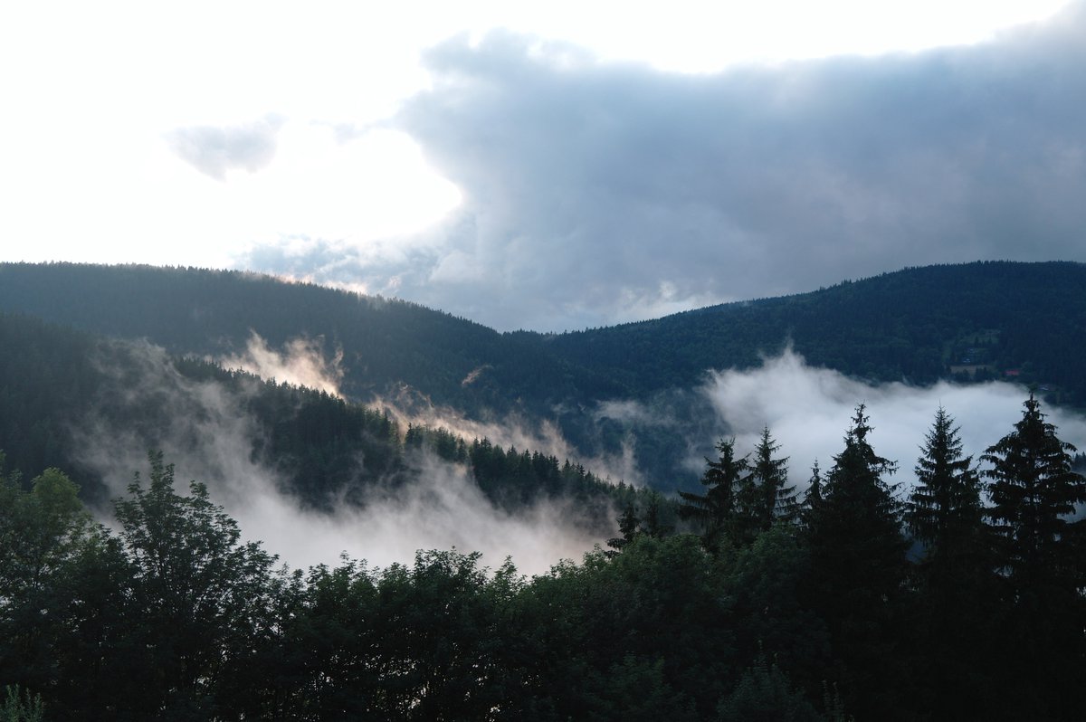 WikingerArt's tweet image. 