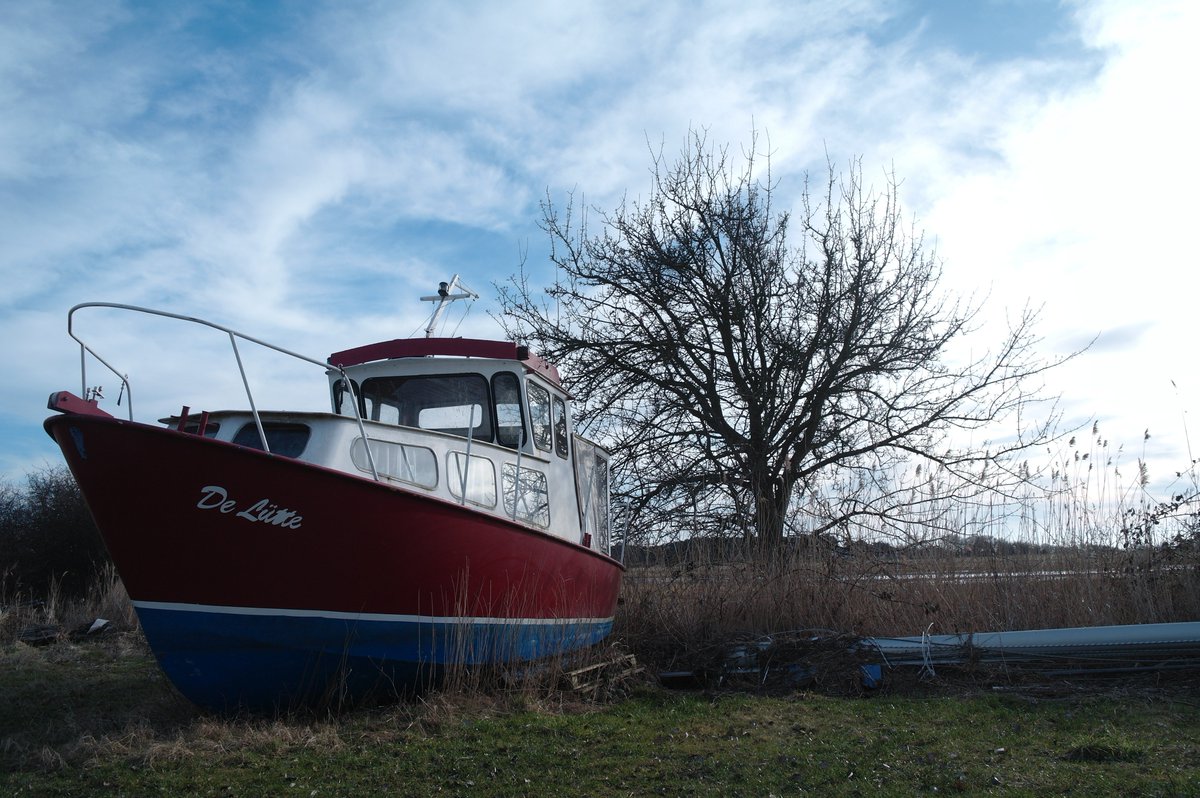 WikingerArt's tweet image. 