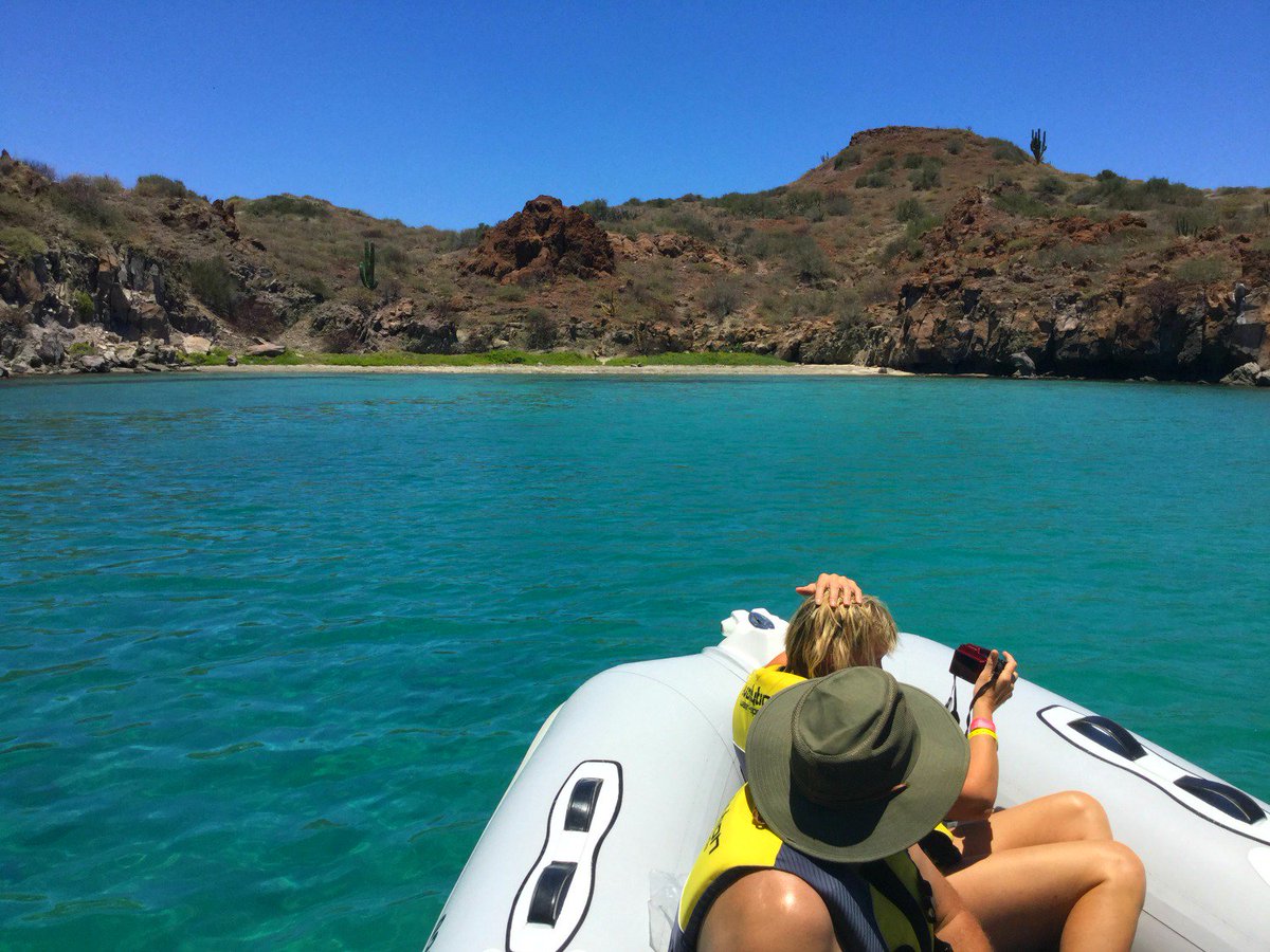 VilladelPalmarL's tweet photo. Do you know where this photo was taken? ☀🌴🍀🍀 •••► https://t.co/RZmcQ0FEBA
#StPatricksDay #FamilyVacation #Travel #IslandsOfLoreto #VDPL https://t.co/911tkTQyjY