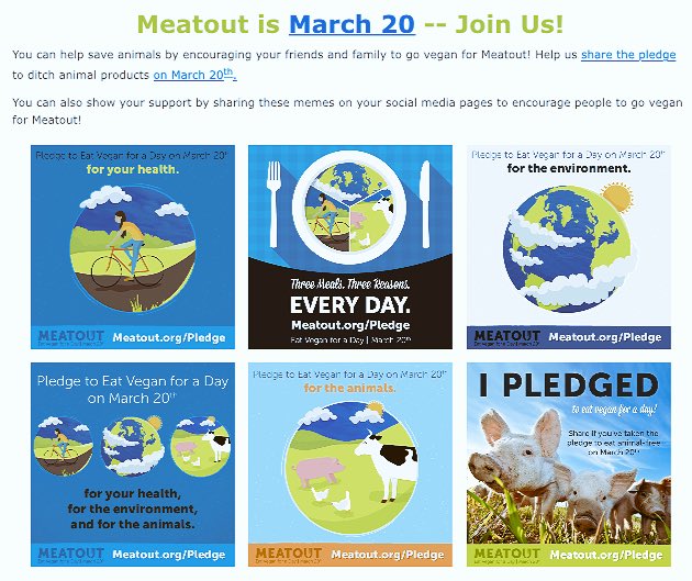If you are not vegan, or vegetarian you can join the #meatout on march 20th ~ spread the movement.
#vegan #movement #love #animals
🌍🌱🐄