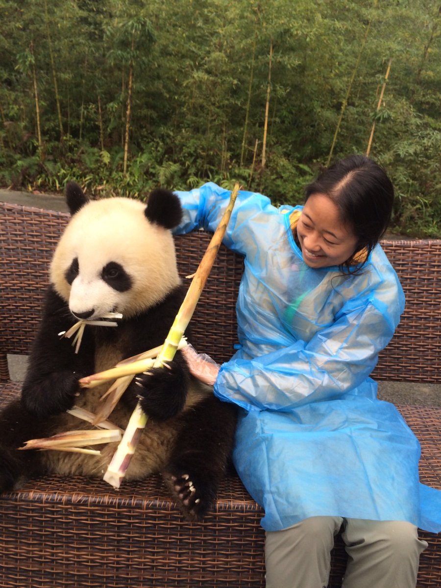 kimtu's tweet photo. Because it's National Panda Day and I'm no longer obsessed 🐼 https://t.co/TSExv1y76P
