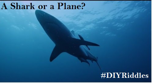 BennArmstrongX's tweet photo. #DIYRiddles - Where does this Shark Flies to?
#StupidRiddles
#HomemadeRiddles https://t.co/hgHEdoRbpr