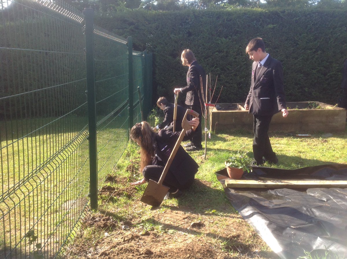 TTAEnvironment's tweet image. My class enjoyed the sun today weeding and planting to provide a habitat for butterflies, bees and birds. #bags of help @ThetfordAcaduk