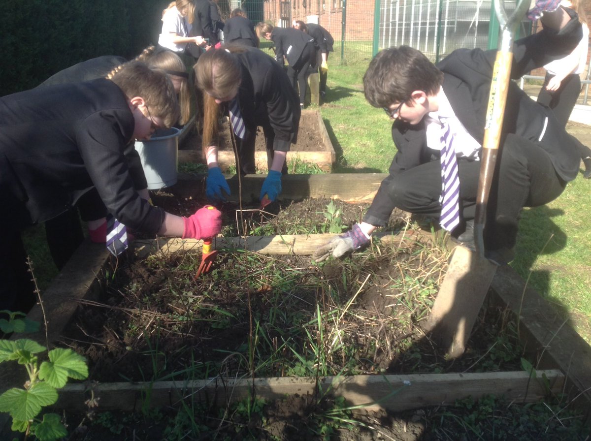 TTAEnvironment's tweet image. My class enjoyed the sun today weeding and planting to provide a habitat for butterflies, bees and birds. #bags of help @ThetfordAcaduk