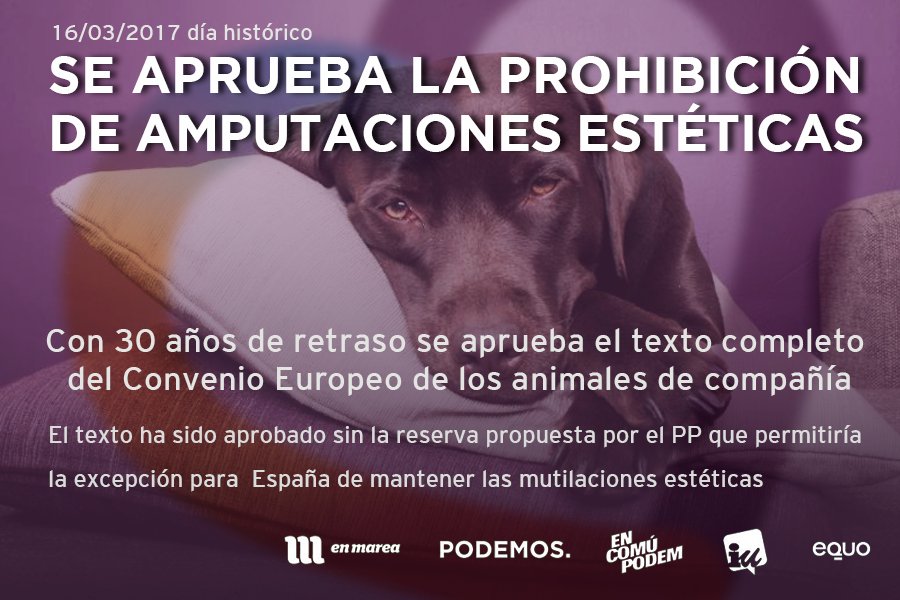 Podemos_Ma's tweet photo. Hoy ha sido un día histórico, con 30 años de retraso, por fin se aplica en España en Convenio de Protección de los animales de compañía. https://t.co/fDyXap0guo