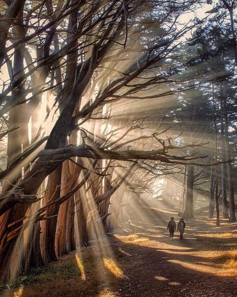 RT <a href="/noveliciouss/">Novelicious</a> If u don’t knowThe trees you may be lost inThe forest,but if u don’t knowThe stories u may be lost in life
S Elder
Dunwody