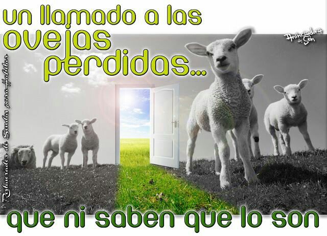 heidy1635's tweet photo. #controldevoz #planeandolarutamasfacil #verdaderodestino @_MenuTeatral https://t.co/ZBWJV3ZS9T
