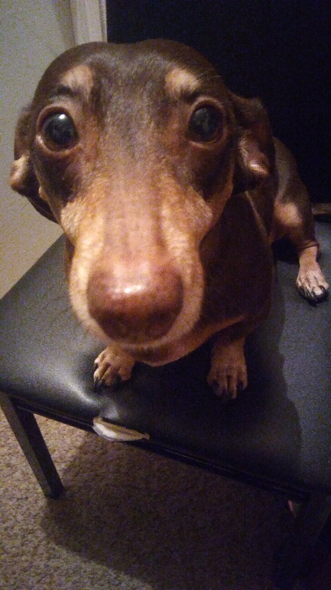 JsAutoDetail's tweet photo. Joey says: Hey you! Go to bed. Tomorrow's a chance for a new #Grind!
#Stayinspired #GetSomeSleep #GiveItYourAll https://t.co/xWuNKZvvWI