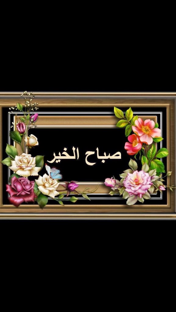 zain11211's tweet photo. https://t.co/79Ker2ekrC