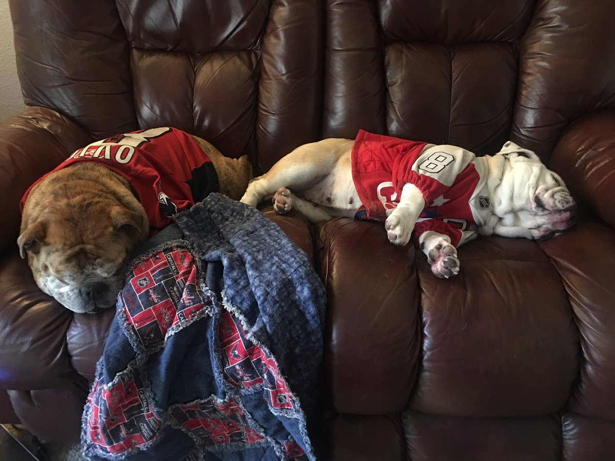 OvietheBulldog's tweet photo. @peterhassett when @PuckBuddys speaks hurtful words that you aren't their fav Twitter pup it's a wound that may never heal 😢#BulldogsDown! https://t.co/m6QMhwiD81