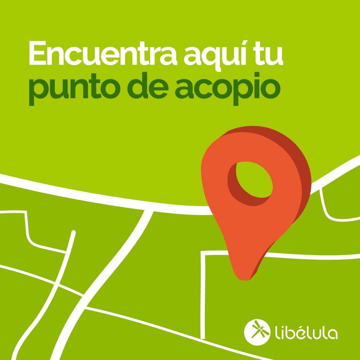 Libélula tweet media
