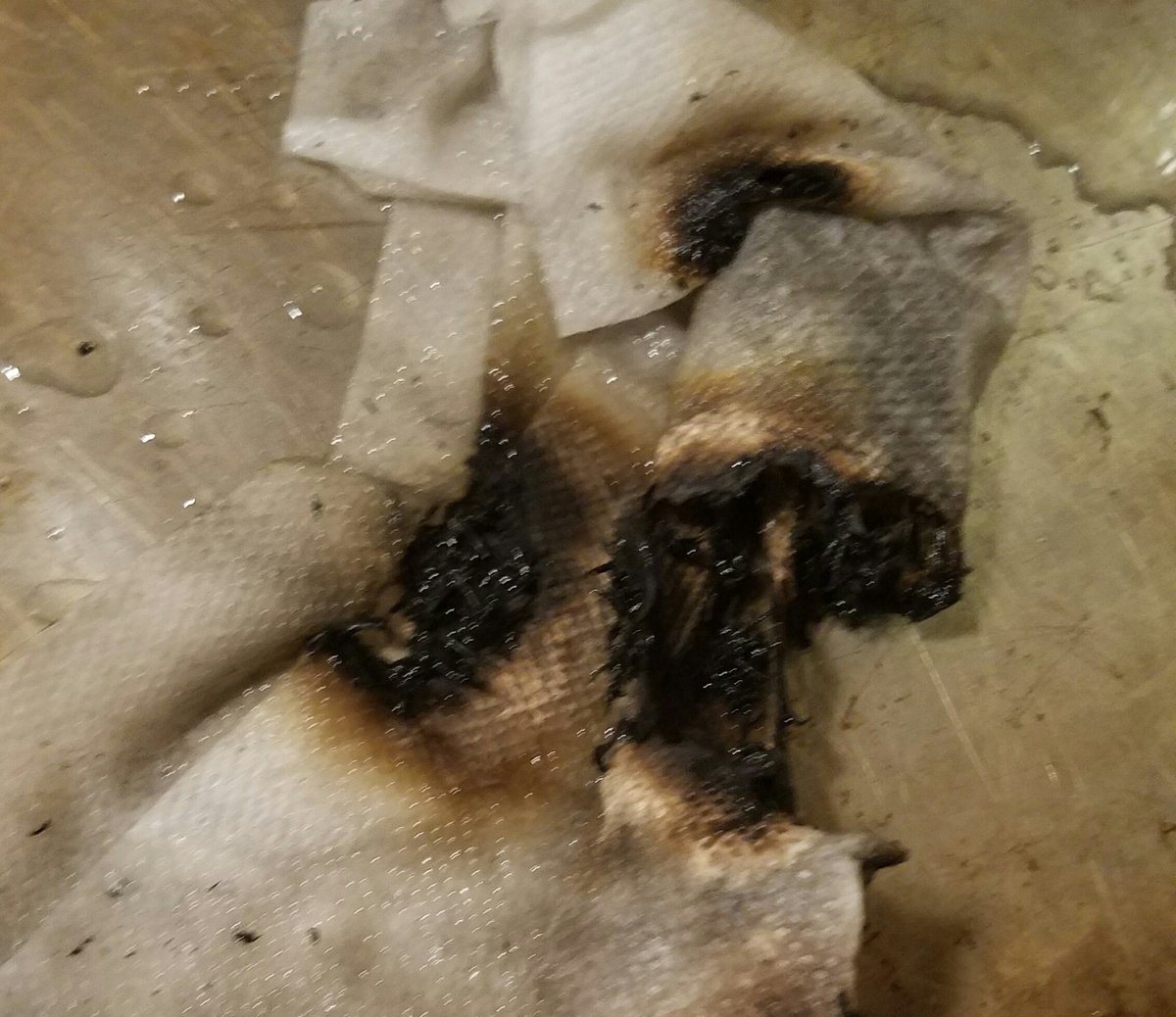 Eruvandi's tweet photo. This is what it looks like when the thyme you put in a paper towel catches fire. In case you ever wondered. #microwavefail https://t.co/zP9MXiCxDn