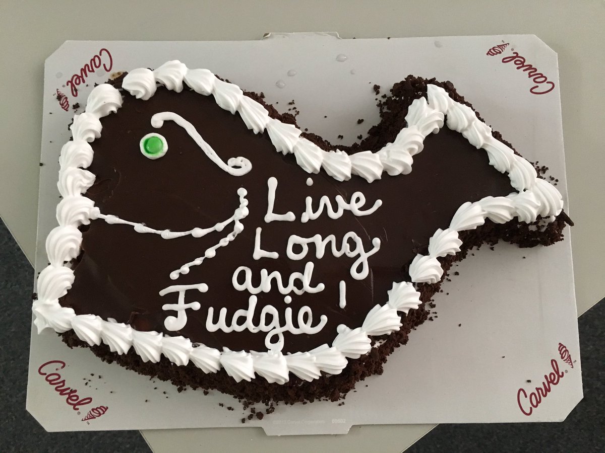 Fudgie The Whale | bull city mom