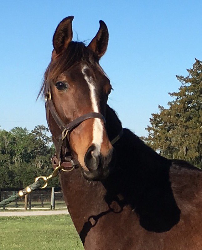 Ren Hakim Carothers ن on Twitter: 