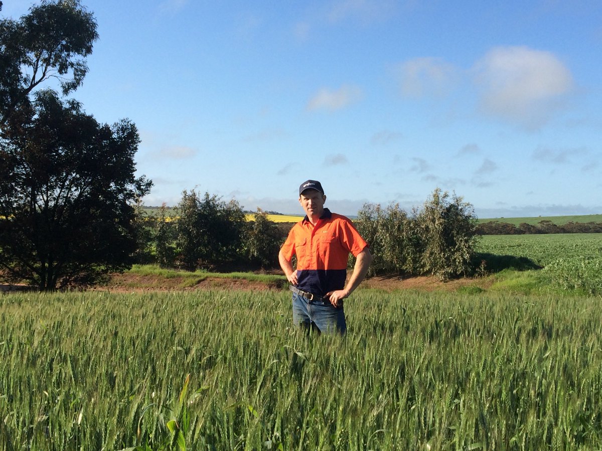 HartField-SiteGroup tweet media