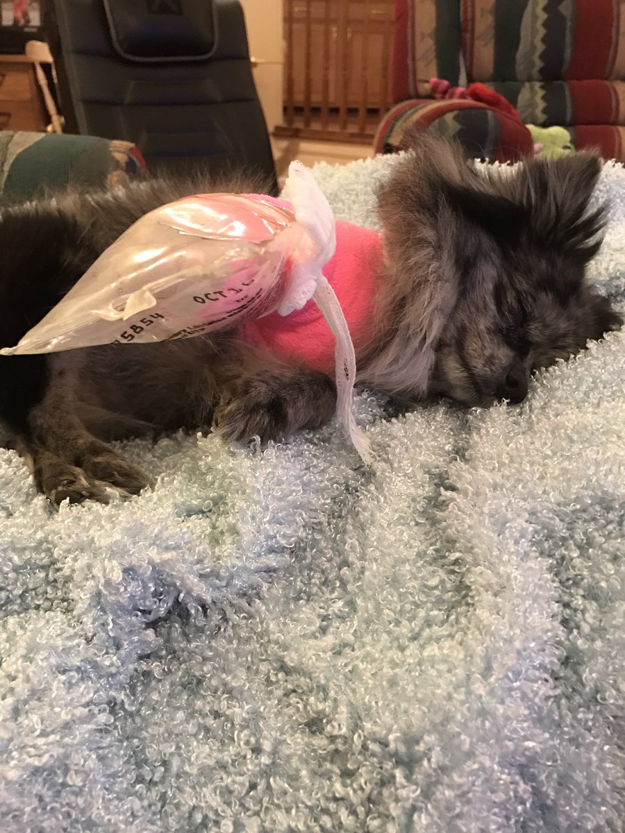 Pretyblueyez's tweet photo. My baby girl broke her elbow. Had 6 screws &amp; a plate put in today. Can't wait to bring her home tomorrow. Thanks TLC https://t.co/u6M1j04ILF