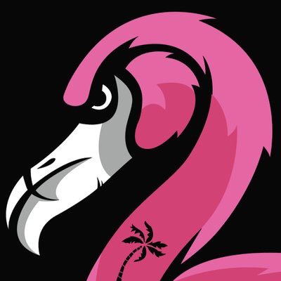 Brekanet's tweet photo. ¡FINAL! @ESEA | BO1 | Open
@miamiflamingos derrotó a #Bad5 16-3. Ahora jugará por @cevo ante @ViroxeleSports.
https://t.co/qjq11fr0XR https://t.co/uonIYa3JWZ