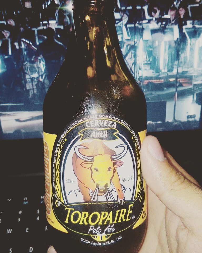 moises_vidalt's tweet photo. Directamente desde Quillón, un manjar de cerveza, para un manjar de concierto #Toropaire #MetallicaS&M https://t.co/O15JsQXkpE