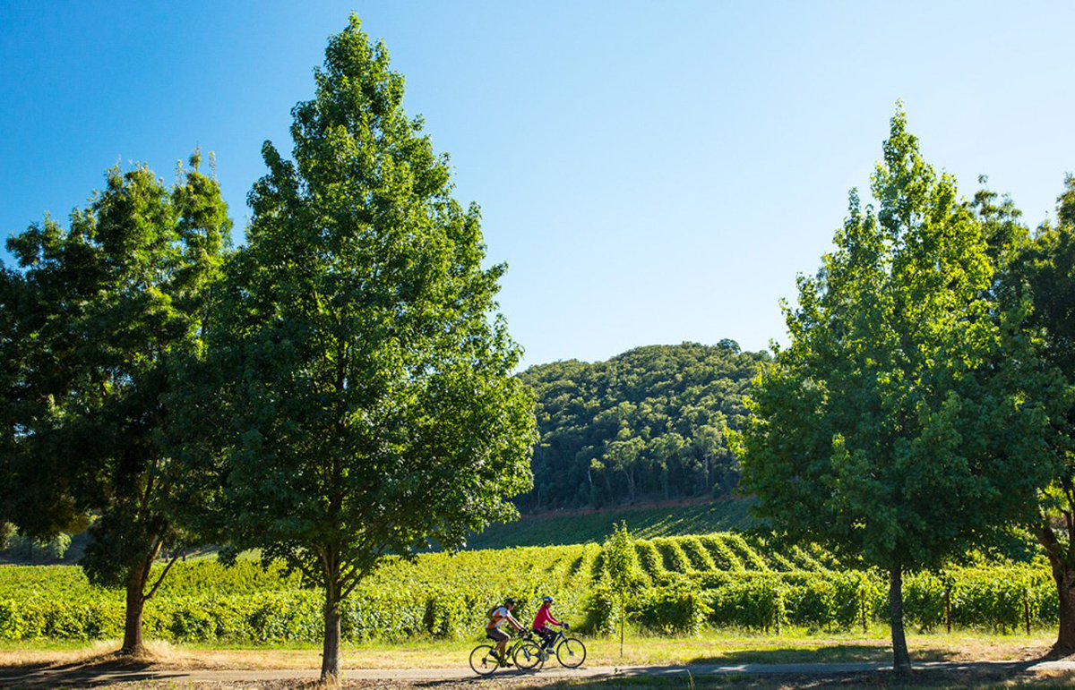 Melbourne's tweet photo. Ten ways to Bright-en up your weekend. https://t.co/gVR4igX1JB #wandervictoria #seehighcountry https://t.co/tol7yf79XF