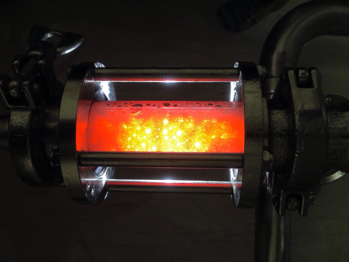 Gorgeous Hibiscus Berliner in the sight glass