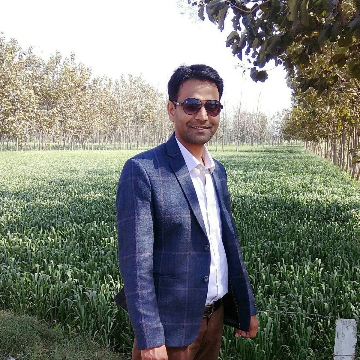 askprojector's tweet image. #NewProfilePic