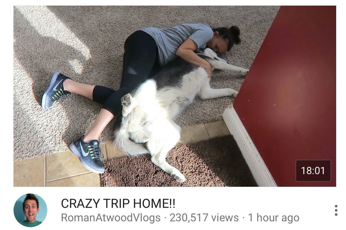 MoreRomanAtwood's tweet photo. New Vlog | #RomanAtwood #RomanAtwoodVlog ##CrazyTrip #BackHome #LastDay #Home #Family #DailyVlog #Vlog #FlashAtwood #Hawaii #Ohio #miss https://t.co/K3wpHTheZA