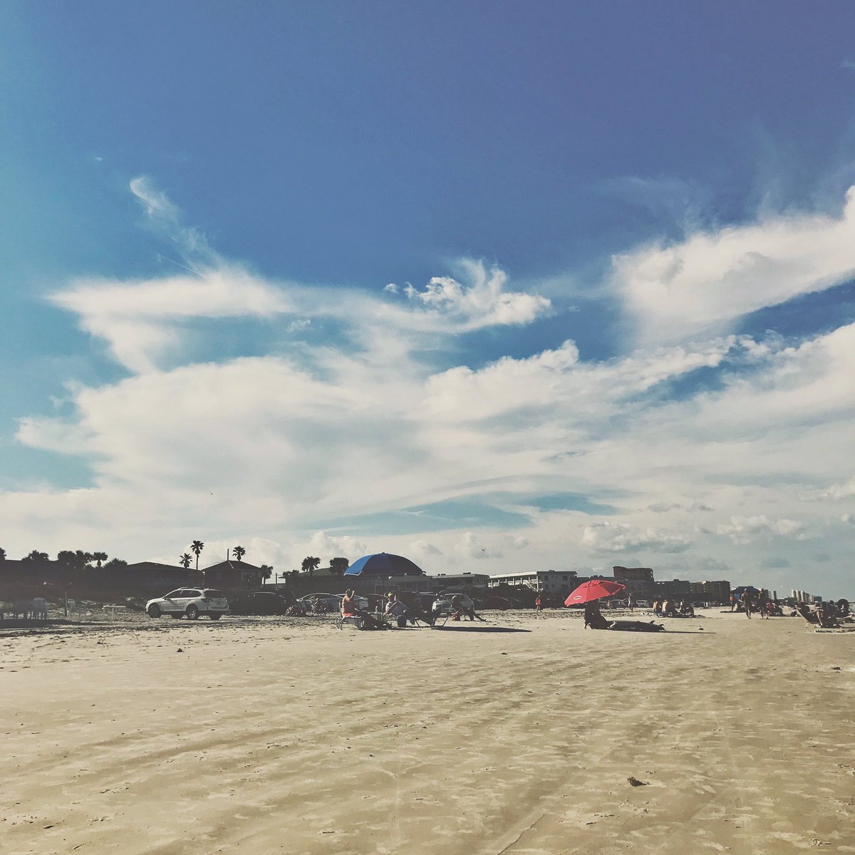 LinaMarie94's tweet photo. 🌊longing for another beach day #sharkbitecapital 🐟 https://t.co/zpzZihWFiN
