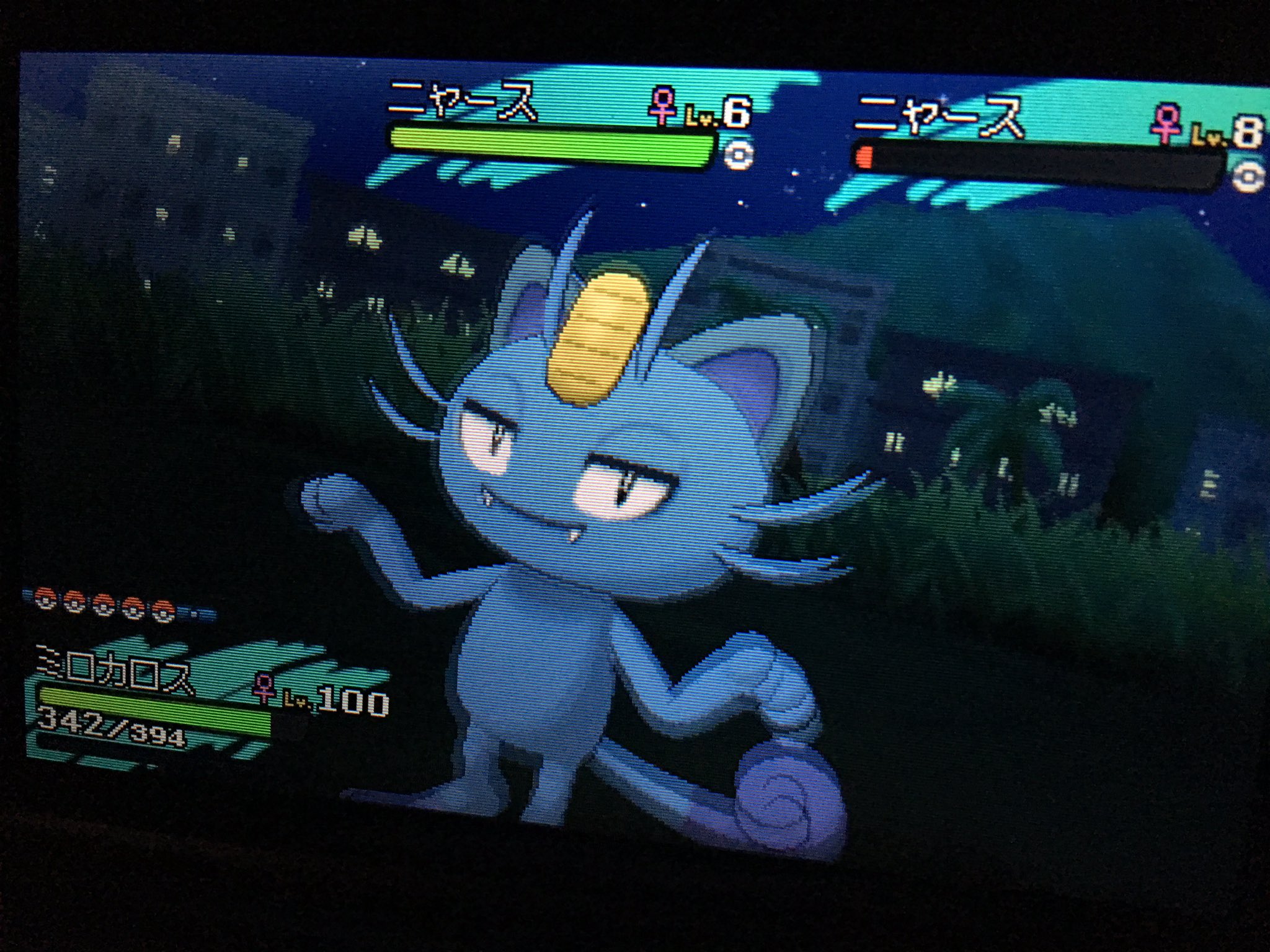 びねつ 色違いニャースやっと出た 朝からずっとやってて 1時間半くらい3ds開いたまま寝てたけど たぶん300連鎖くらいで出現 昨日0連鎖くらいしてるから国際孵化の確率と一緒くらいかな とりあえず今からゴージャスボールで捕まえよう ポケモン びねつ 色違いニャースやっと出た 朝からずっとやってて 1時間半くらい3ds開いたまま寝てたけど たぶん300連鎖くらいで出現 昨日0連鎖くらいしてるから国際孵化の確率と一緒くらいかな とりあえず今からゴージャスボールで捕まえよう ポケモン