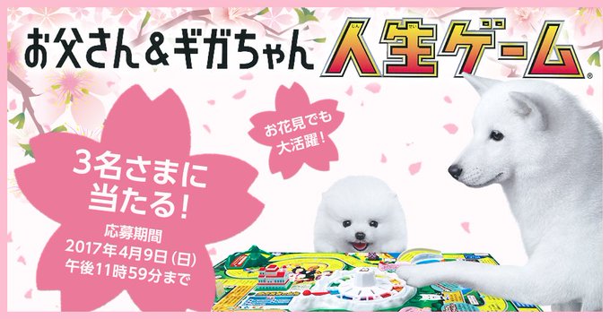 お花見シーズン到来 みんなが楽しめるお花見のための準備とお役立ちグッズはコレ Itをもっと身近に ソフトバンクニュース