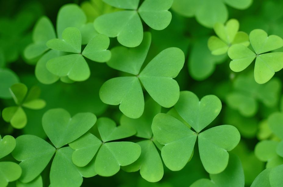 See what #KnightFrank has to sell in Ireland knightfrank.ie/residential #StPatricksDay