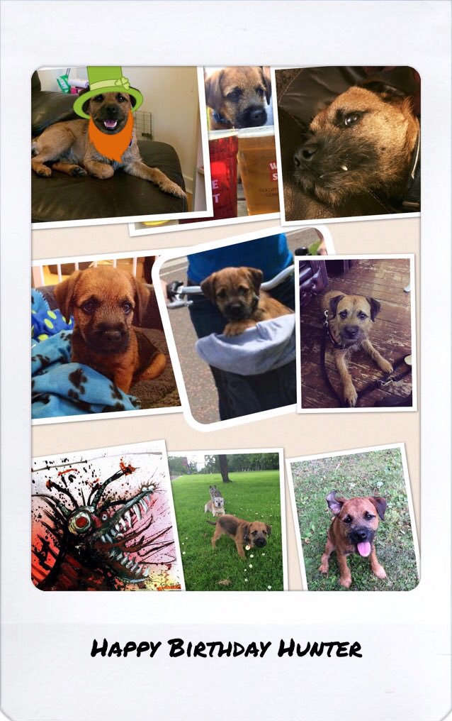 Hey pals geez a birfday bark! Ize 3 chewday. 

My servant made I dis card and a "special" bwekfast, tho it seemed normal. 

#BTPosse