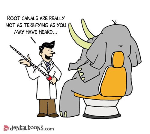 OWSMonline's tweet photo. Root Canal is probably the most scariest operation we can imagine in our head #root #canal #dental #dentist #funny #funny #images https://t.co/WwaqGbPy9Y