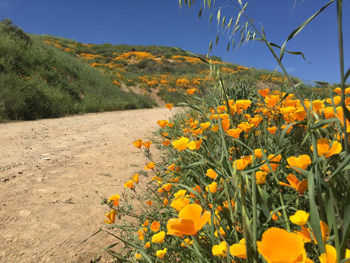 Claudia Peschiutta tweet media