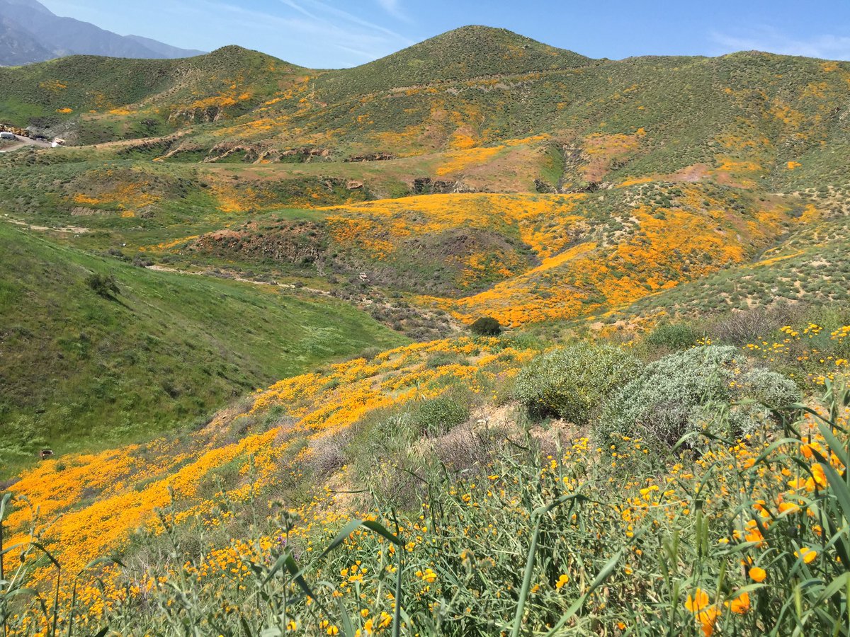 Claudia Peschiutta tweet media