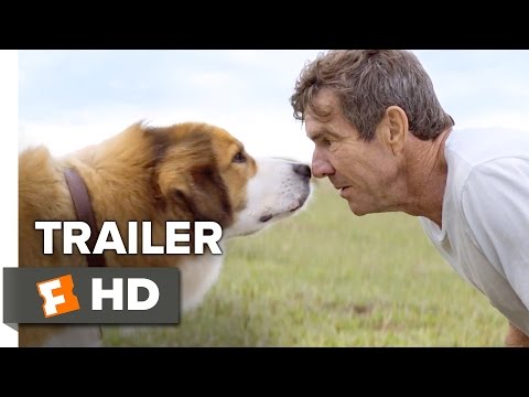 pawsforpeeps's tweet photo. A Dog's Purpose..
This movie trailer is amazing.  I have to go see this movie.  There  ... - https://t.co/zmS7fcythb - https://t.co/41RYBByQLM