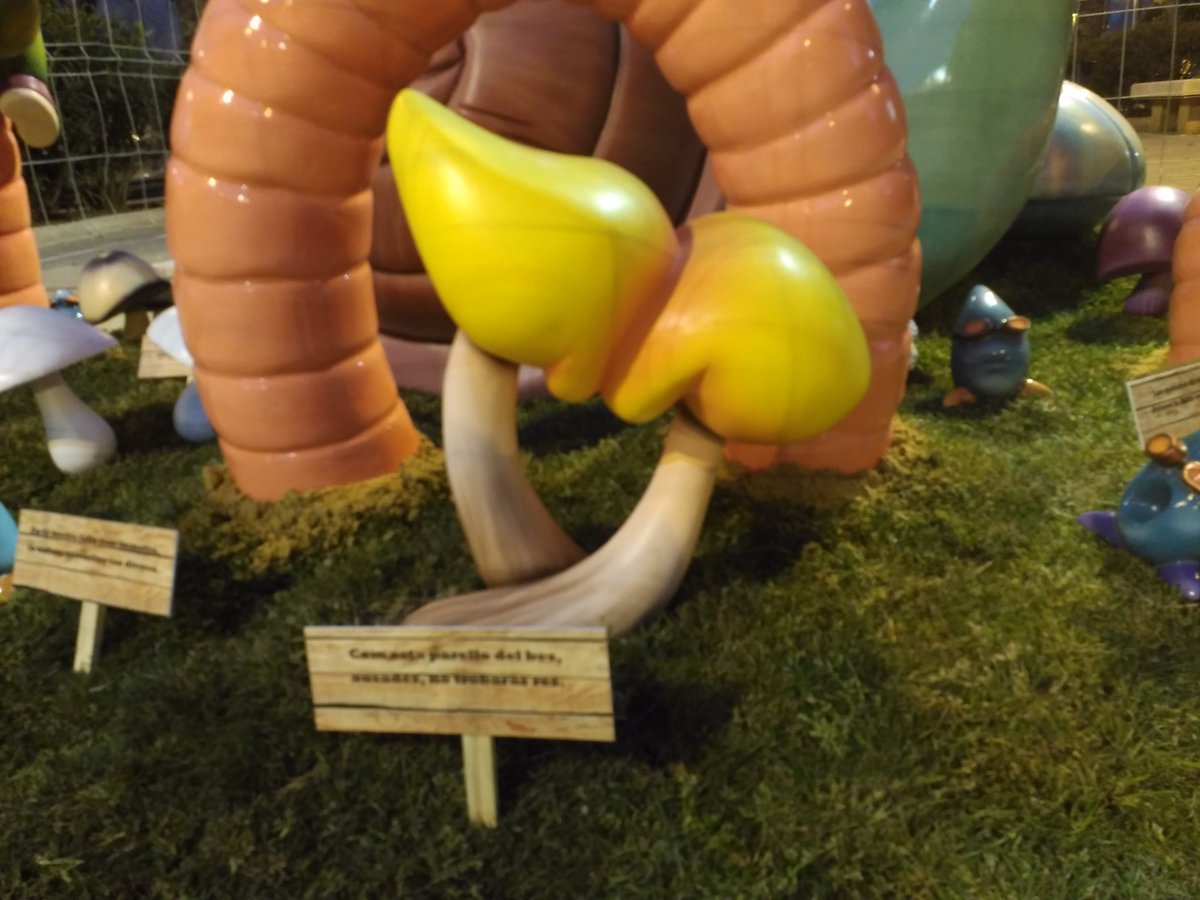 nyceducacion's tweet photo. Visitar Falles també pot ser una manera de conèixer el nostre #PatrimoniNatural #TorrentVerd @fallacronista @Ayto_Torrent @vicrierapeiro https://t.co/GmxnWqASjl
